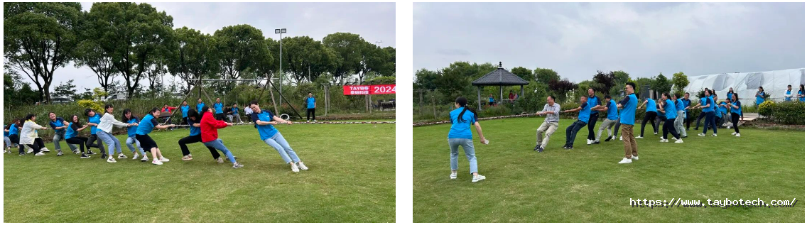 1741684679572867ovYa.png image.png